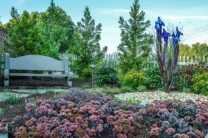 Incorporating Color into Your Landscaping lehnhoff's supply