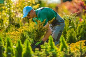 5 Considerations When Hiring a Landscaping Contractor lehnhoff's supply