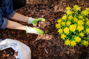 Why You Should Mulch Your Garden in the Fall lehnhoff's supply