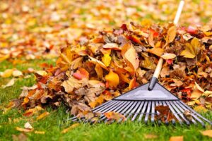 Fall Maintenance Tips for Your Landscape lehnhoff's supply