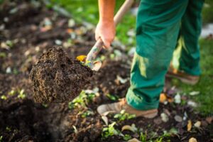 Everything You Need to Know About Topsoil lehnhoff's supply