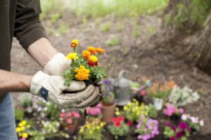 Preparing Your Garden Beds for Winter lehnhoff's supply